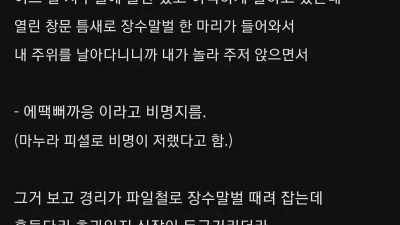 중소기업 경리랑 결혼한 썰