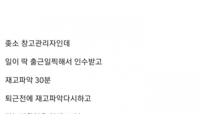 실수령 3000인데 직업에 만족하는 디씨인