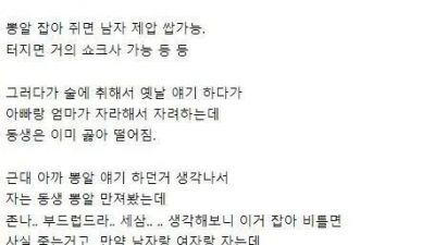 동생 부랄 만진 누나