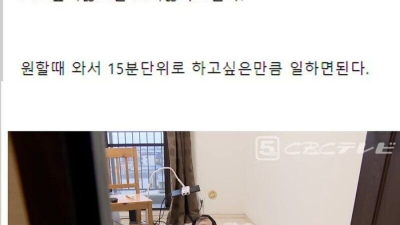하루 15분 일하고 퇴근하는 직장