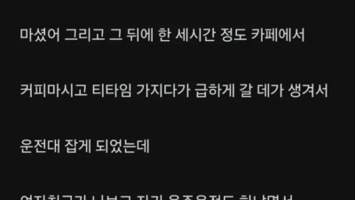음주운전으로 여친이랑 싸운 남자