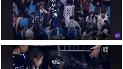 유튜브 댓글 레전드 일침
