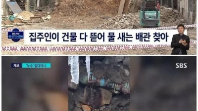 누수 때문에 빡쳐서 건물 다 뜯어버린 건물주