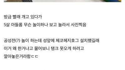 장군감 아들을 키우는 디시인