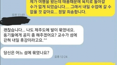 교수님 제가 결항으로 수업 참여가 힘듭니다