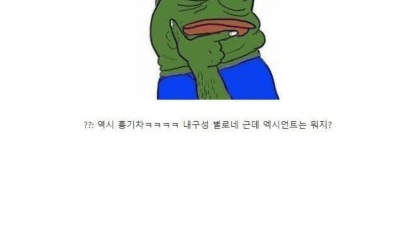 가족차는 튼튼한 거 사야 하는 이유