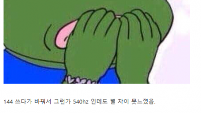 디시인의 