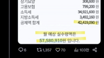 월급 1억 받는 사람이 내는 세금
