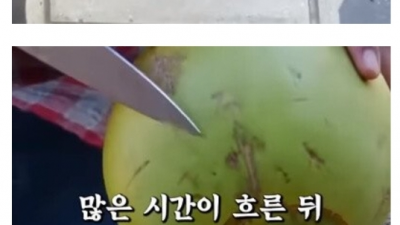 바람핀걸 후회하는 아내에게 신이 속삭였다