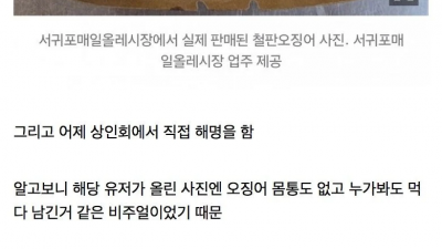 고소 당해서 ㅈ되게 생긴 보배 유저