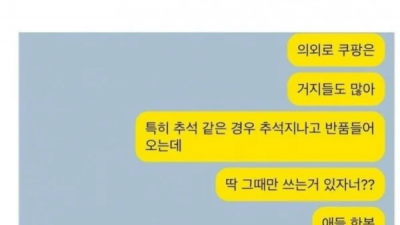 지금 쿠팡에 반품 쏟아진다는 품목