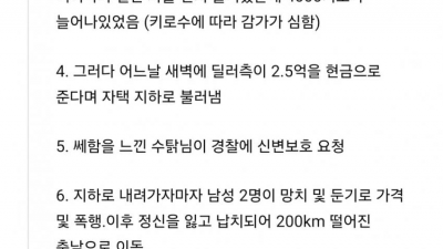 유튜버 납치 사건 요약