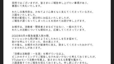 갑자기 결혼을 발표한 버튜버