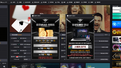 스텔라