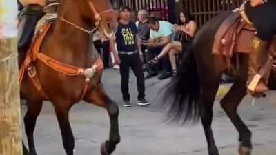 특이하게 걷는 말을 탄 누나