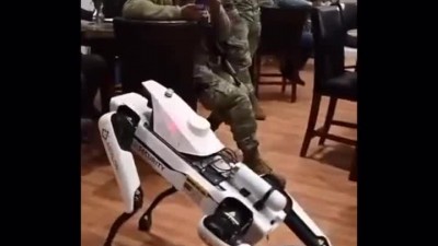 우리집 개는 안 물어요 대신...