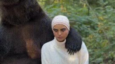 목숨걸고 사진찍기