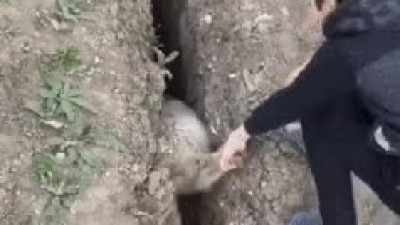 솔직히 말해봐 일부러 이러는거지??.gif