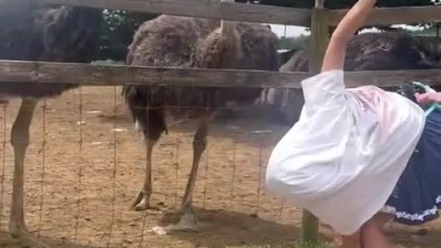 낙타 흉내내는 여자.mp4
