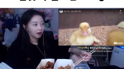 치킨먹다 입맛 뚝 떨어진 스트리머.mp4
