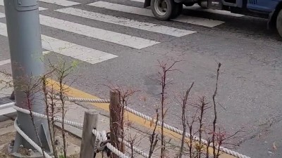 무단횡단 하는 가오충