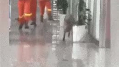 아니 네가 왜 여기 들어왔니?