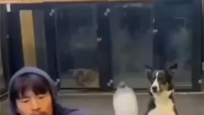 아씨 들켰다....!