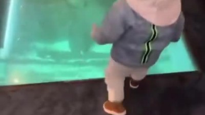 아기도 지려버린 아쿠아리움 바닥