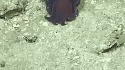 우리 친구란,,,.gif