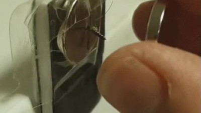 다양한 모기 처형식