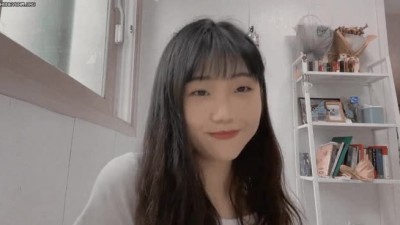 개미핥기녀