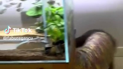 기분만 내는 식당