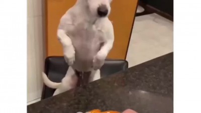 거기서 왜 초록색이 나와?