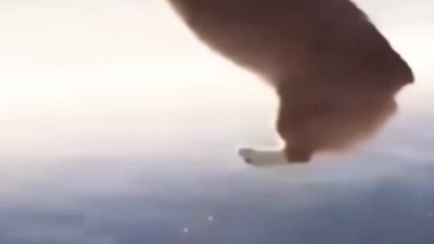 던져지는 강아지 너무 하네요