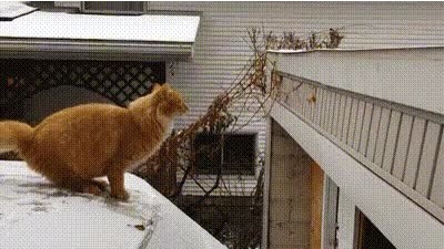 몸이 마음 같지 않네...