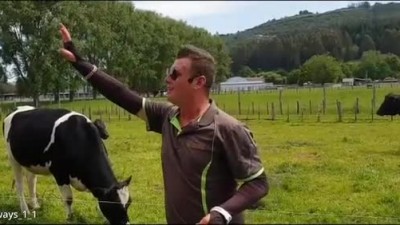 한국어 패치 완료된 뉴질랜드 농장 현지인 가이드.mp4