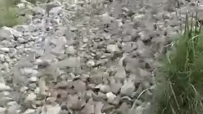 산에서 돌이 흐르네요