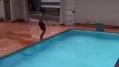 &lt;img src=/img/hit_icon.png class=hit_icon alt=HIT인기&gt;          		          		  게임할 때 Ping의 중요성