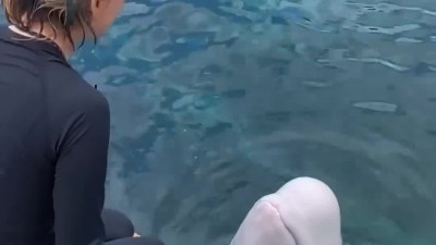 자유형 10바퀴 플립턴으로 할수있다