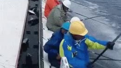 얼마나 물고기가 많으면...