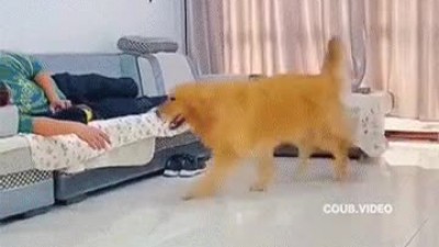 꺼져~내자리야~