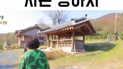 사람보다 좋은집 사는 댕댕이ㅎㅎ