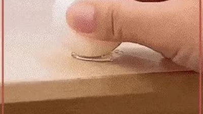 고양이 취미 방해하기