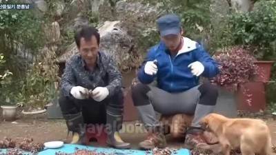 의도가 궁금한 의자