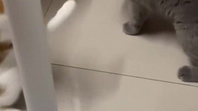 패대기ㅋㅋ