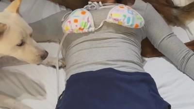 대형견과 수영하면 가슴 부상을 당하는 이유 개조이