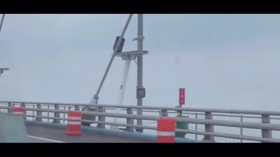 변하율