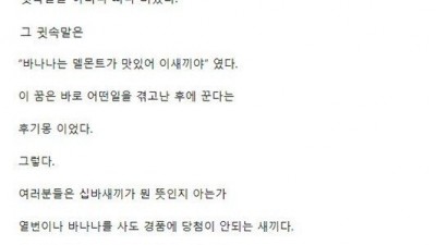 돌 바나나