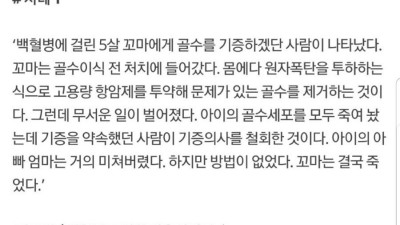 골수 기증 사례