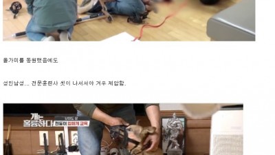 개통령 동물학대 논란